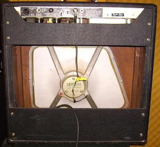 Styrofoam Fender Bantam Bass Speaker