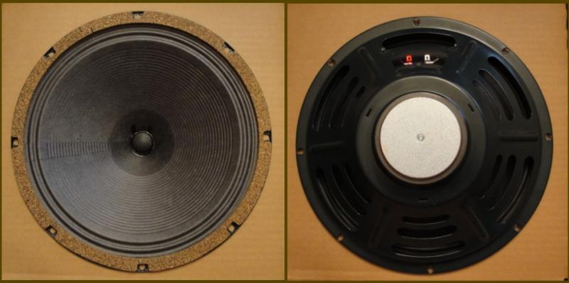 Low Power WGS 12 Speaker