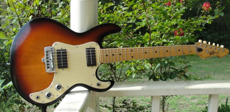 Peavey T-15 Guitar